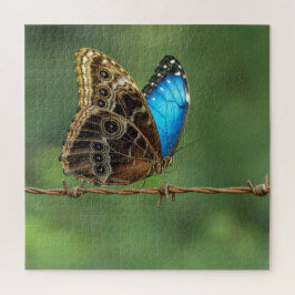 Gewone Morpho Vlinder op Prikkeldraad Legpuzzel