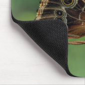 Gewone Morpho Vlinder op Prikkeldraad Muismat (Hoek)
