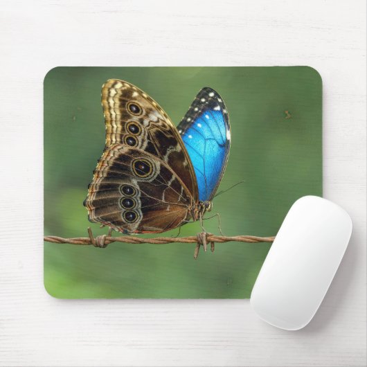 Gewone Morpho Vlinder op Prikkeldraad Muismat (Met muis)