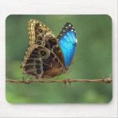 Gewone Morpho Vlinder op Prikkeldraad Muismat (Voorkant)