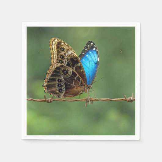 Gewone Morpho Vlinder op Prikkeldraad Servet (Voorkant)