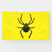 Gewone Oude Spin Spandoek (Horizontaal)