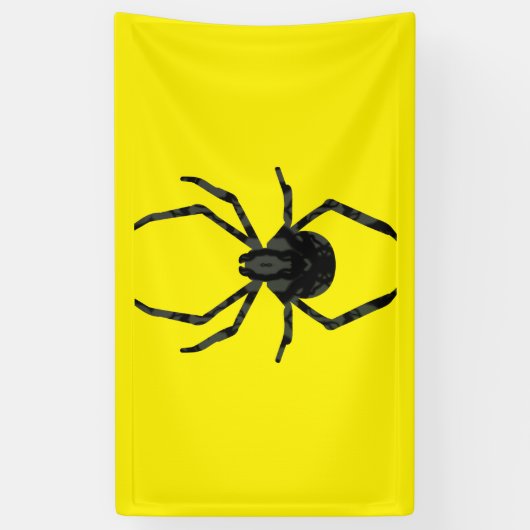 Gewone Oude Spin Spandoek (Verticaal)