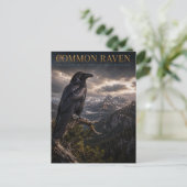 Gewone Raaf Berg Wilderness DIEREN Briefkaart (Staand voorkant)