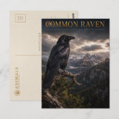 Gewone Raaf Berg Wilderness DIEREN Briefkaart (Voorkant / Achterkant)