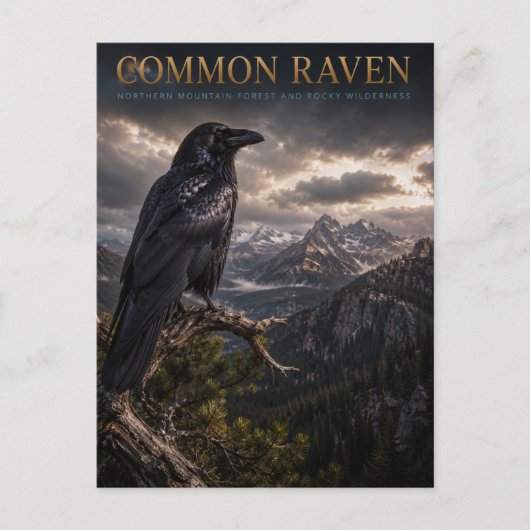 Gewone Raaf Berg Wilderness DIEREN Briefkaart (Voorkant)