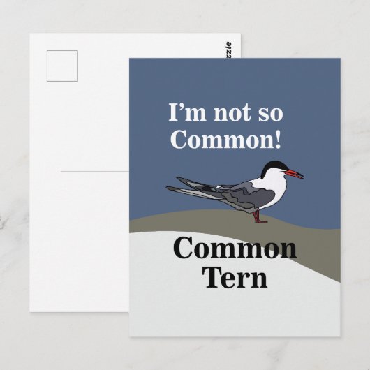 Gewone Stern Zeevogel Vogel Grappig Briefkaart (Voorkant / Achterkant)