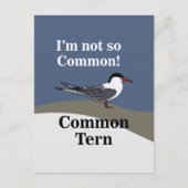 Gewone Stern Zeevogel Vogel Grappig Briefkaart (Voorkant)