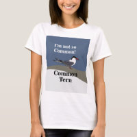 Gewone Stern Zeevogel Vogel Grappig