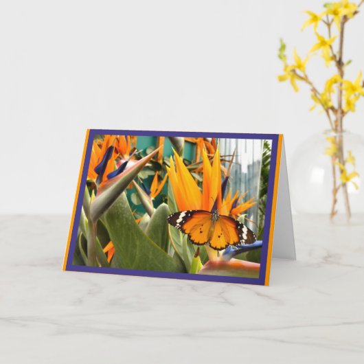 gewone tijgervlinder kaart (Gele Bloem)