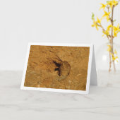 Gewone torenvalk, Falco tinnunculus Kaart (Gele Bloem)