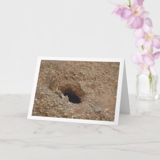 Gewone torenvalk, Falco tinnunculus Kaart (Orchidee)