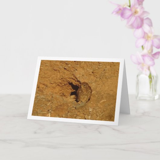 Gewone torenvalk, Falco tinnunculus Kaart (Orchidee)