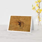 Gewone torenvalk, Falco tinnunculus Kaart (Gele Bloem)