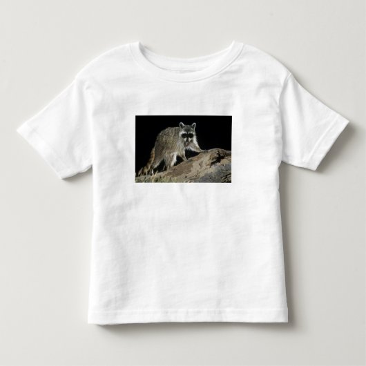 Gewone wasbeer, Procyon lotor Kinder Shirts (Voorkant)