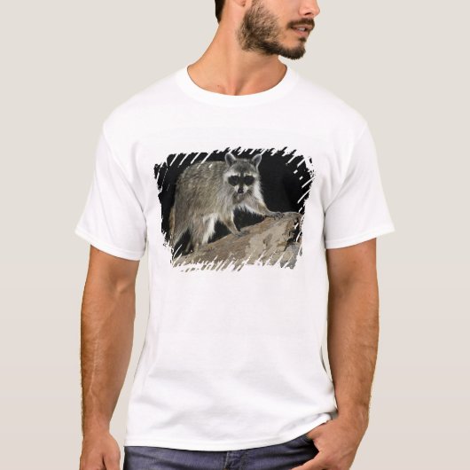 Gewone wasbeer, Procyon lotor T-shirt (Voorkant)