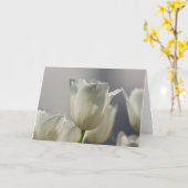 Gewone Witte Lentetulpen Lee Hiller Fotografie Kaart (Gele Bloem)