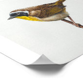 Gewone Yellowthroat Warbler Art Print (Hoek)