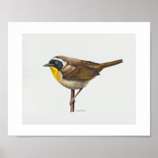 Gewone Yellowthroat Warbler Art Print (Voorkant)