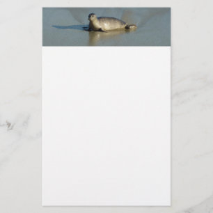 Gewone zeehond bij La Jolla Californië Briefpapier