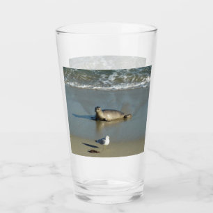 Gewone zeehond bij La Jolla Californië Glas