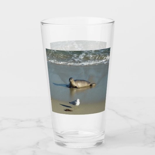 Gewone zeehond bij La Jolla Californië Glas (Voorkant)