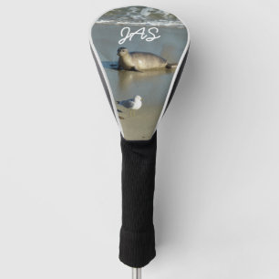 Gewone zeehond bij La Jolla Californië Golfheadcover