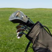 Gewone zeehond bij La Jolla Californië Golfheadcover (Insitu)