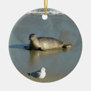 Gewone zeehond bij La Jolla Californië Keramisch Ornament