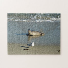 Gewone zeehond bij La Jolla Californië Legpuzzel