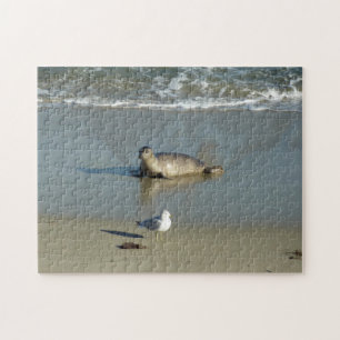 Gewone zeehond bij La Jolla Californië Legpuzzel