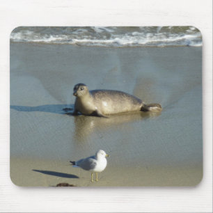 Gewone zeehond bij La Jolla Californië Muismat