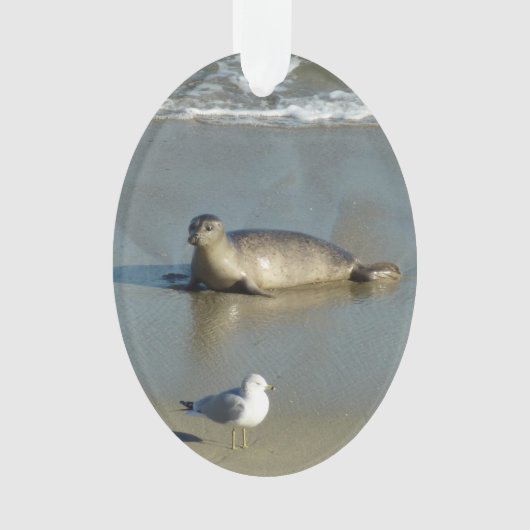 Gewone zeehond bij La Jolla Californië Ornament (voorkant)