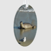 Gewone zeehond bij La Jolla Californië Ornament (voorkant)