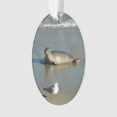 Gewone zeehond bij La Jolla Californië Ornament (voorkant)