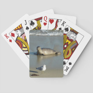 Gewone zeehond bij La Jolla Californië Pokerkaarten