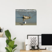 Gewone zeehond bij La Jolla Californië Poster (Thuiskantoor)