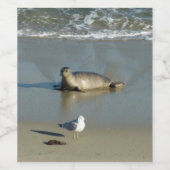 Gewone zeehond bij La Jolla Californië Wijn Etiket (Enkel label)