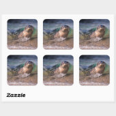 Gewone zeehond vierkante sticker (Vel)