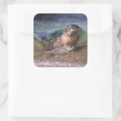 Gewone zeehond vierkante sticker (Tas)