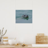Gewone zeehond zwemmend in het gletsjermeer Jokuls Poster (Keuken)