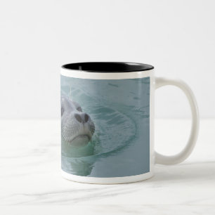 Gewone zeehond zwemt in gletsjermeer Jokulsarlon Tweekleurige Koffiemok