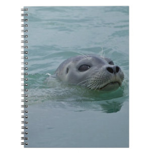 Gewone zeehond zwemt in het gletsjermeer Jokulsarl Notitieboek