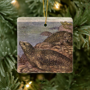 Gewone zeehonden, Oude mariene leven Oceaan Dieren Keramisch Ornament