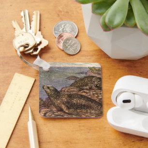 Gewone zeehonden, Oude mariene leven Oceandieren Sleutelhanger