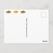 Gewoon blijven zwemmen-een Collectie vis Briefkaar Briefkaart (Achterkant)
