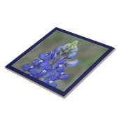 Gewoon Bluebonnet Flower Tegeltje (Zijkant)
