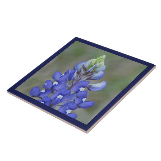Gewoon Bluebonnet Flower Tegeltje (Zijkant)
