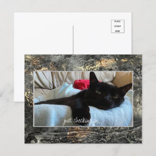 Gewoon Briefkaart zwart controleren