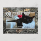 Gewoon Briefkaart zwart controleren (Voorkant)